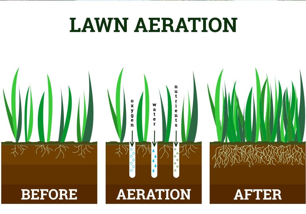 aeration