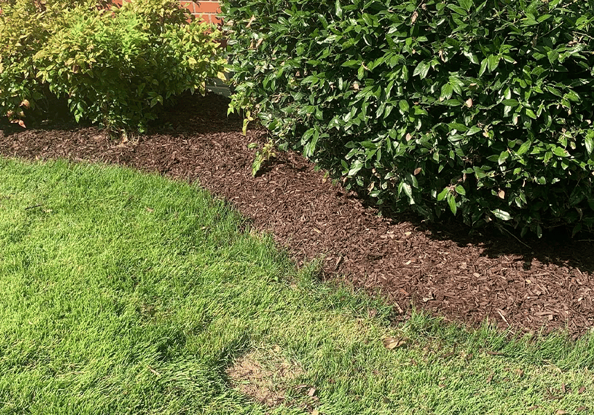 mulch