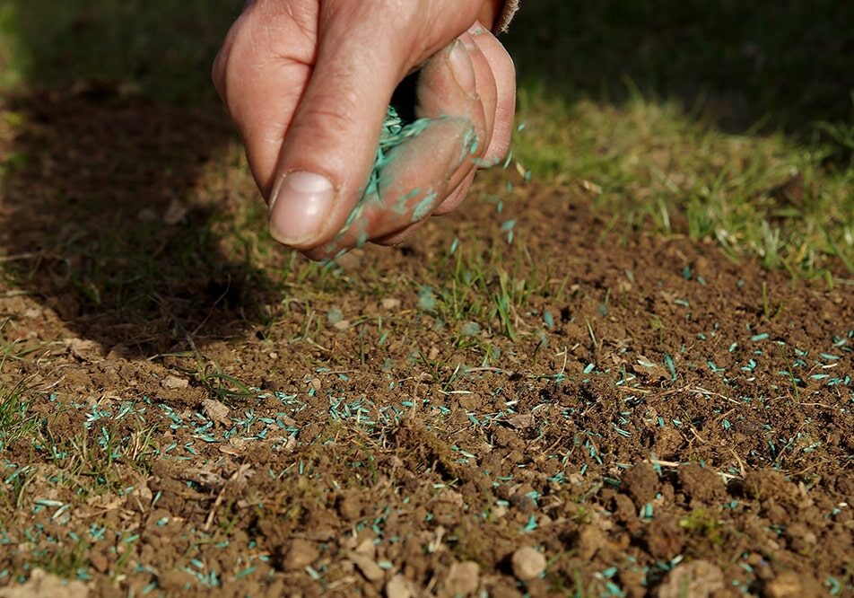 overseeding